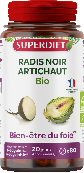 Radis noir artichaut bio - 1